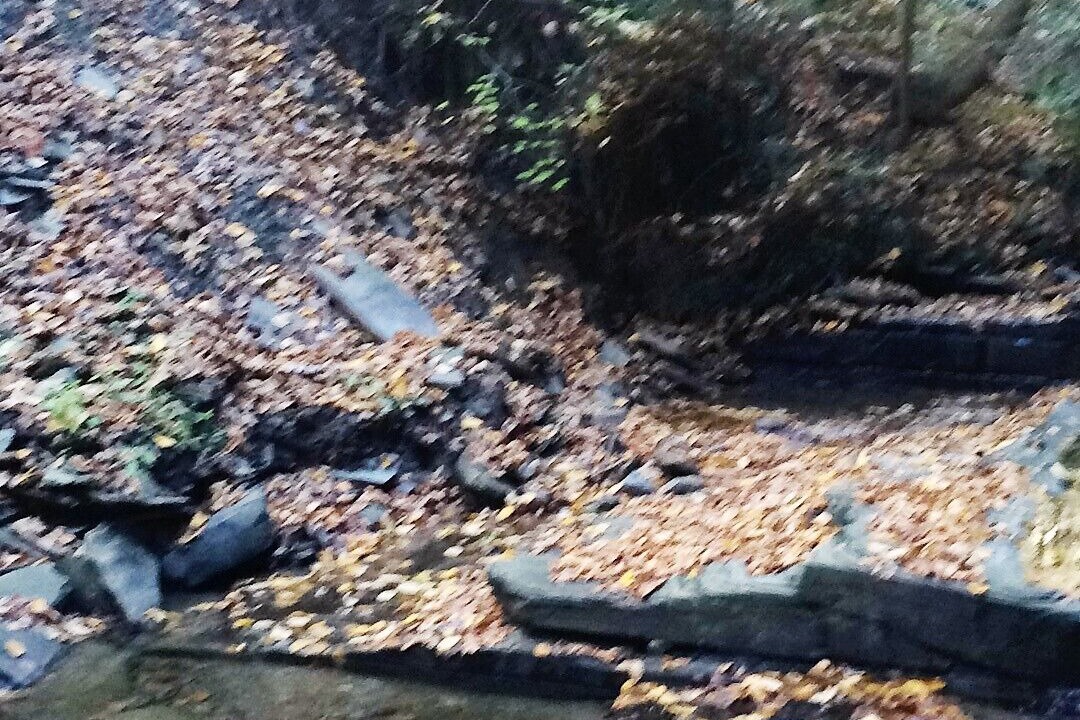 Photo of Outdoor in Burdett