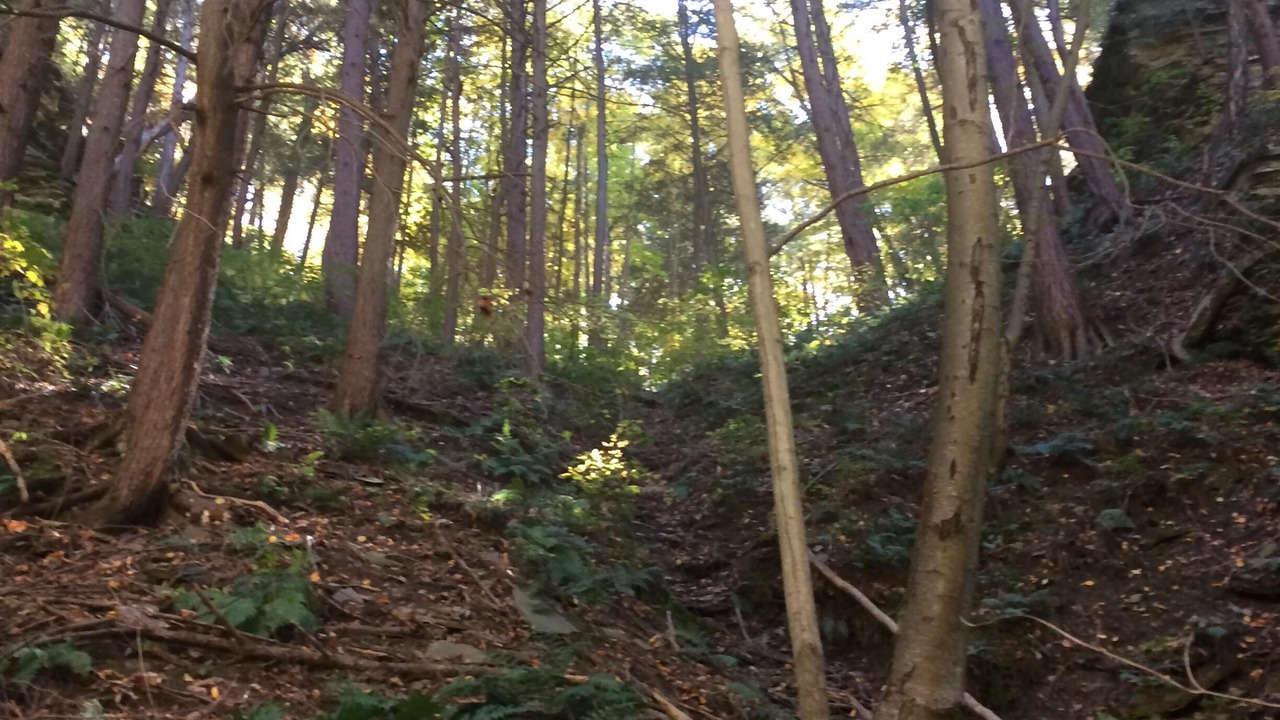 Photo of Outdoor in Burdett