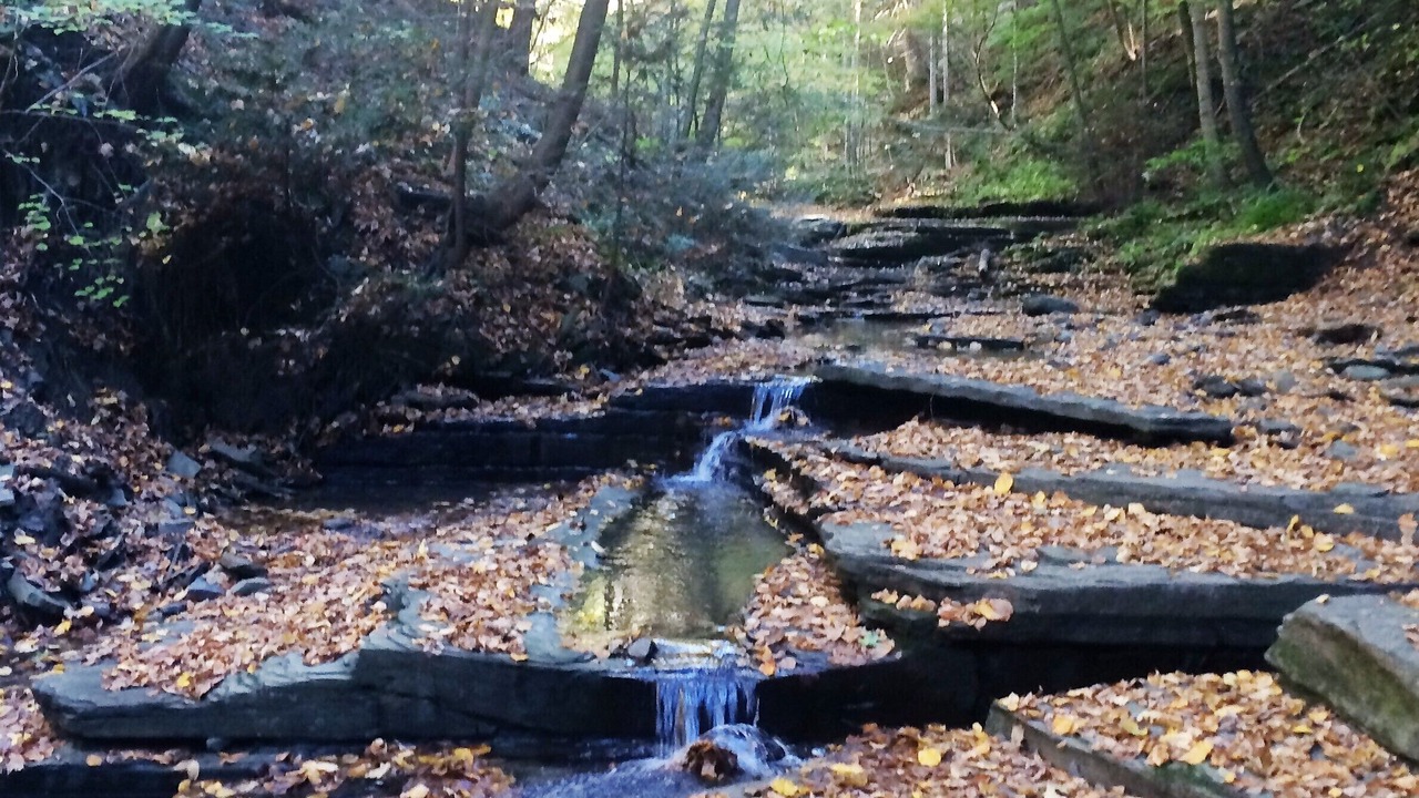 Photo of Outdoor in Burdett