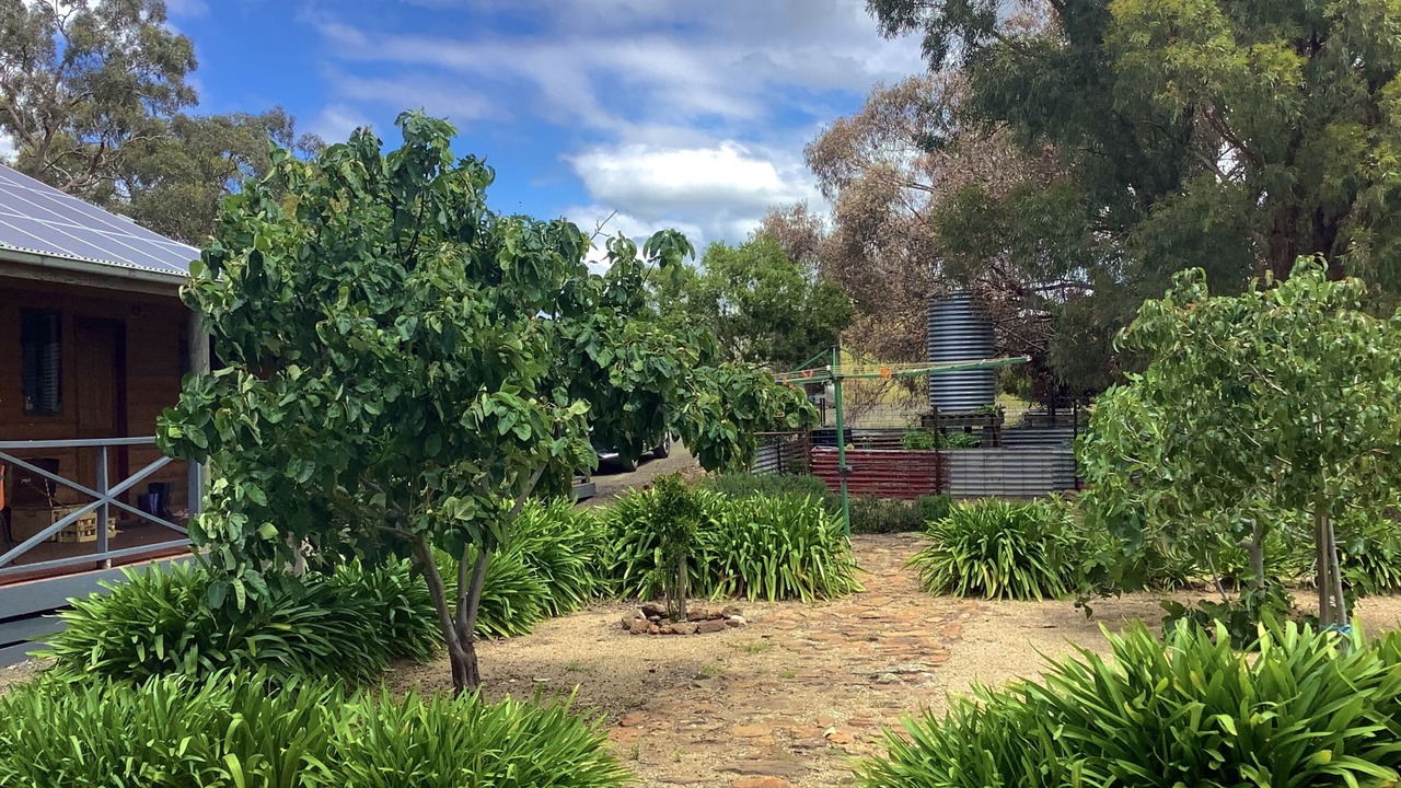 Photo of Outdoor in Eppalock