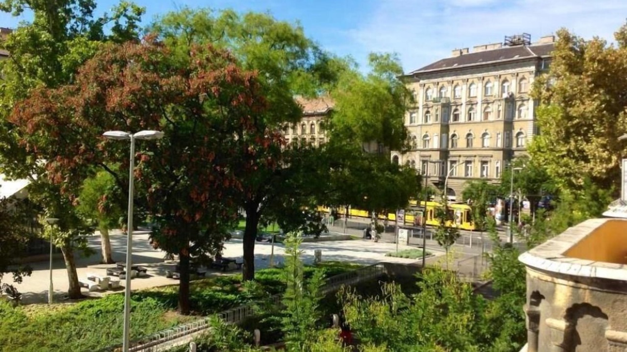 Photo of Outdoor in Csarnok negyed
