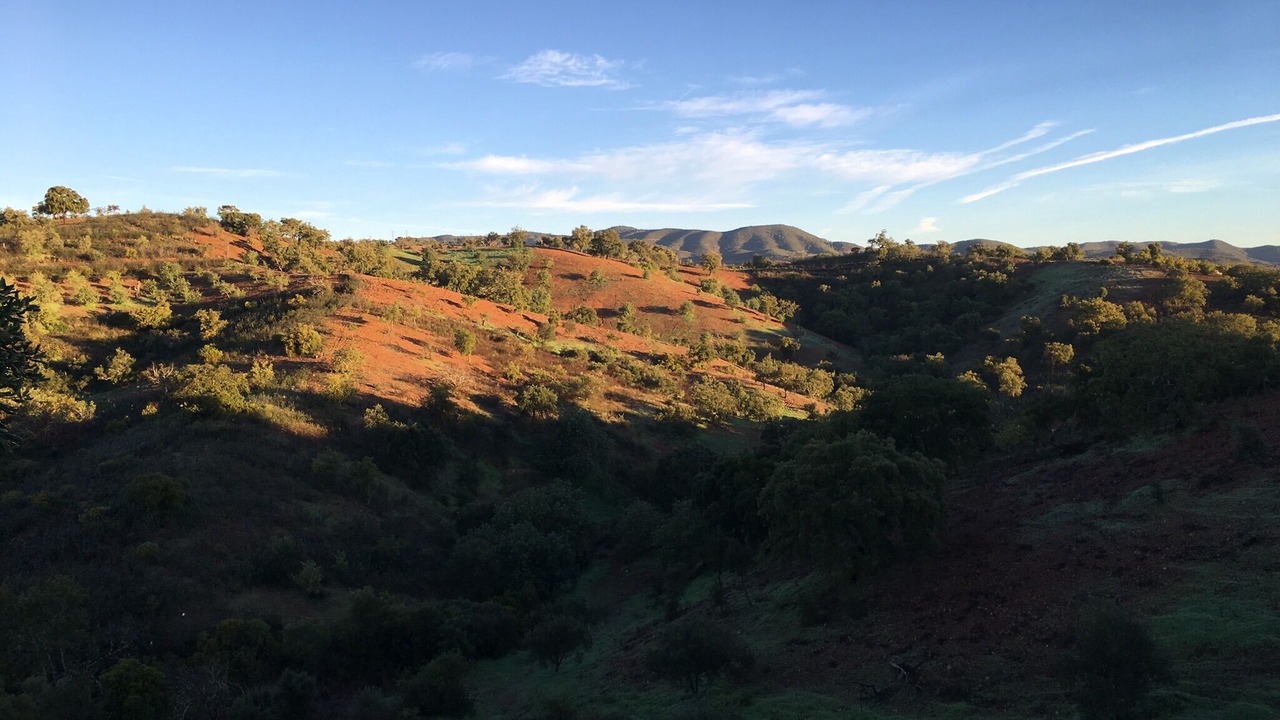 Photo of Outdoor in Fonte do Bispo