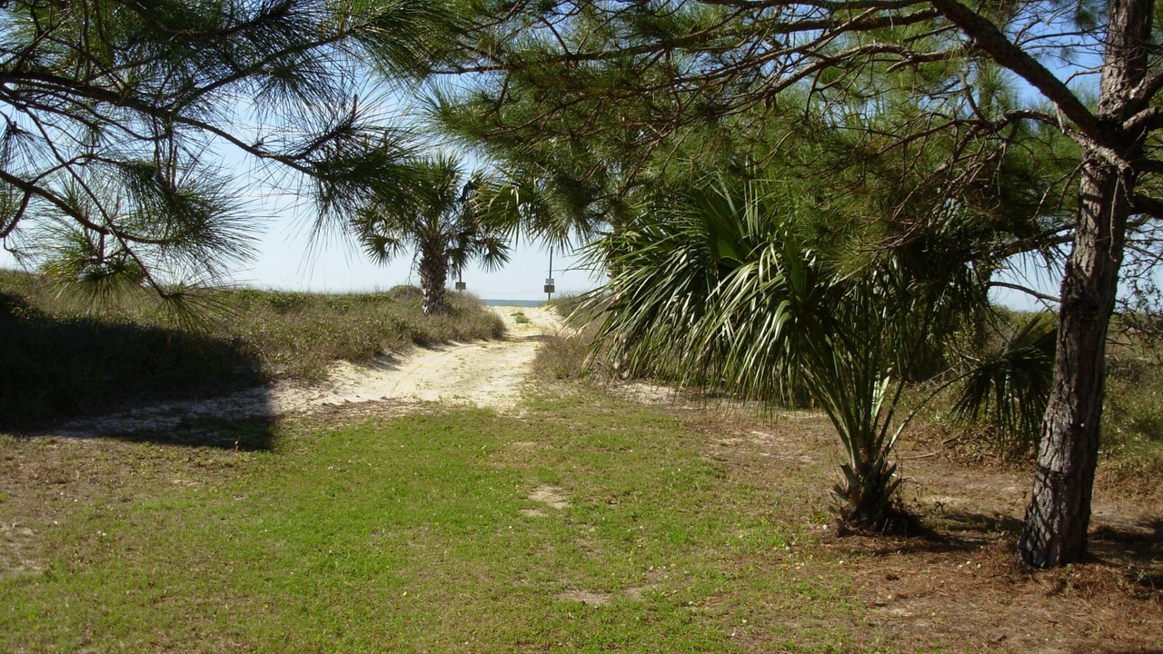 Photo of Others in Port St. Joe