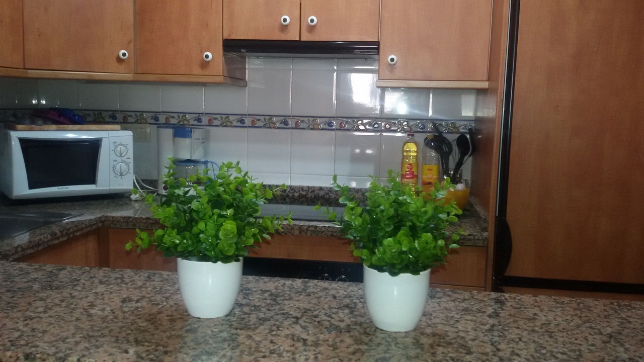 Photo of Kitchen in Cumbre del Sol