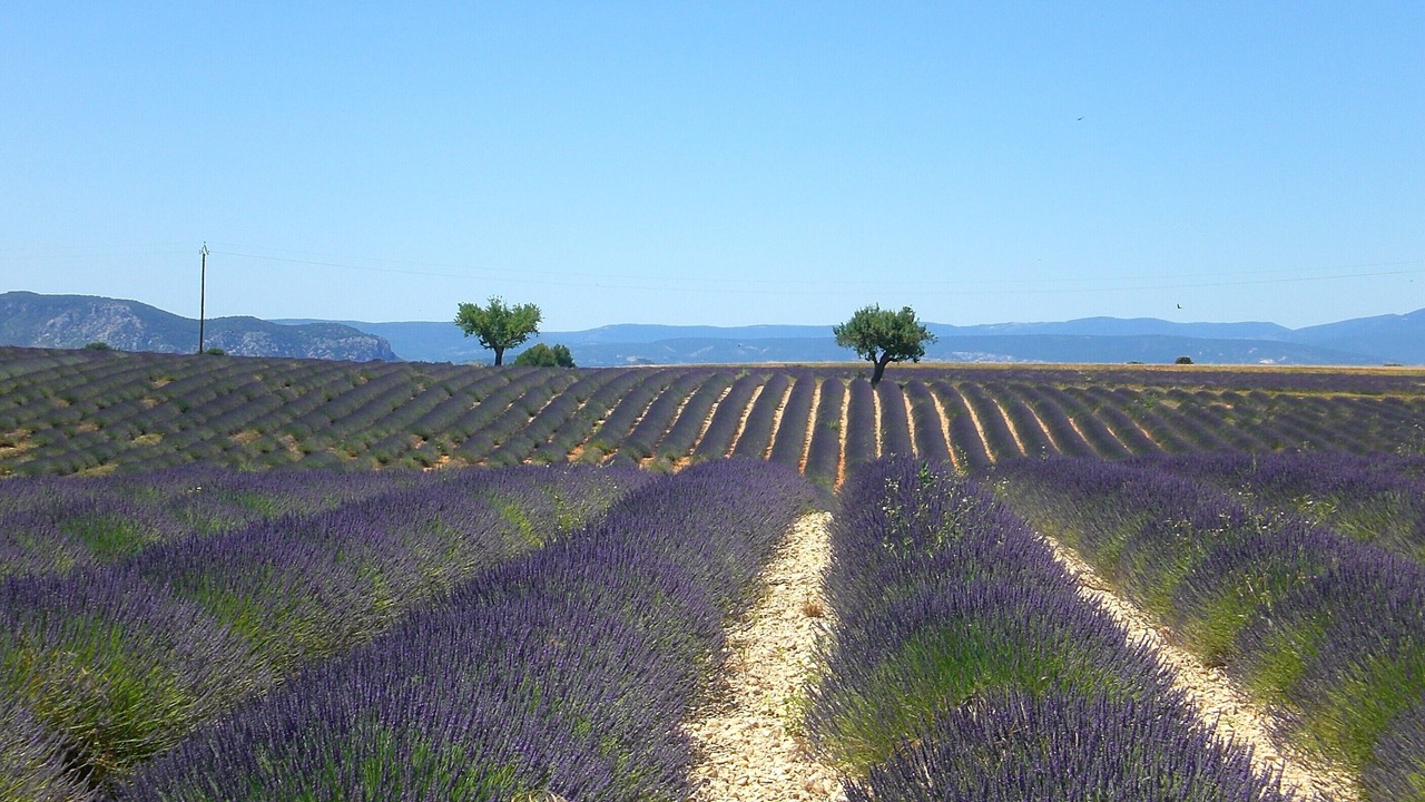 Photo of Others in Pierrevert