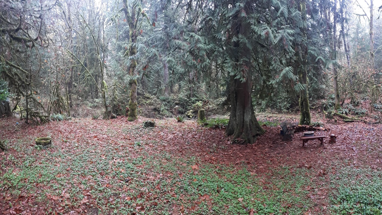 Photo of Outdoor in Maple Falls
