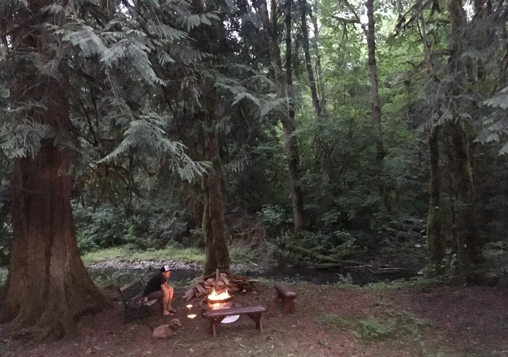 Photo of Outdoor in Maple Falls
