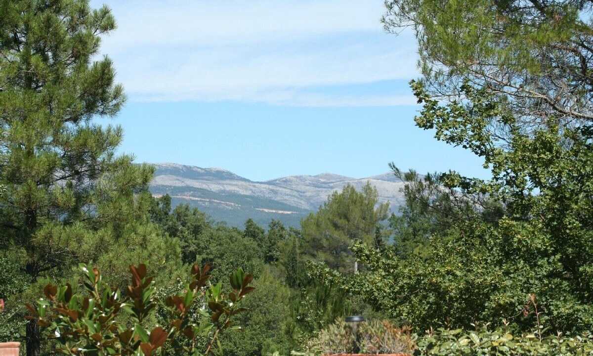 Photo of Outdoor in Saint-Paul-en-Foret