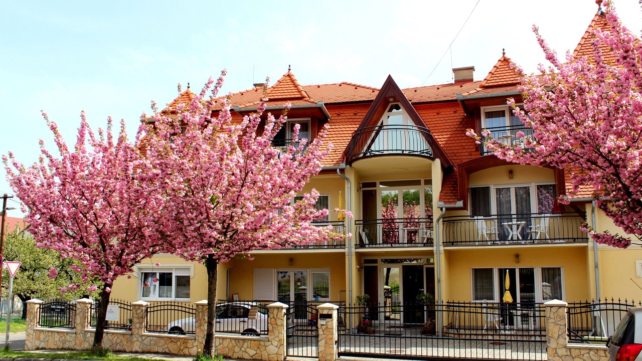 Photo of Outdoor in Heviz