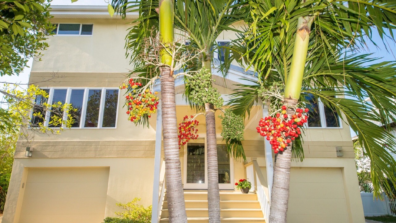 Photo of Outdoor in Anna Maria