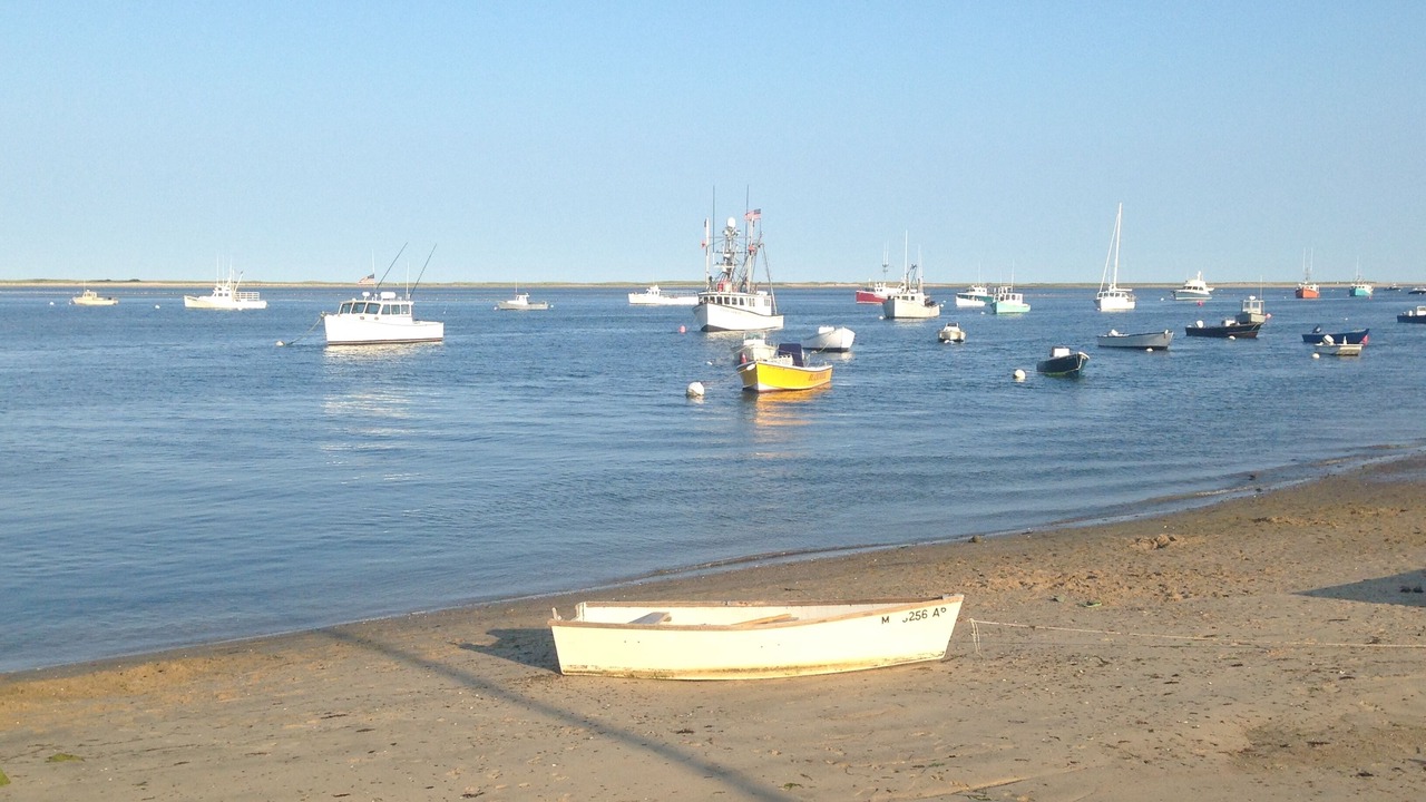 Photo of Others in Chatham