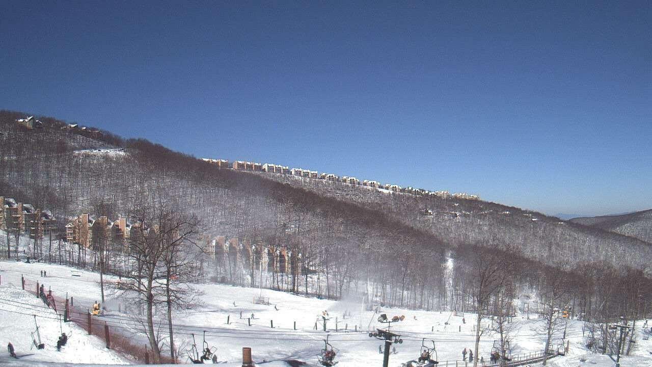 Photo of Others in Chestnut Springs