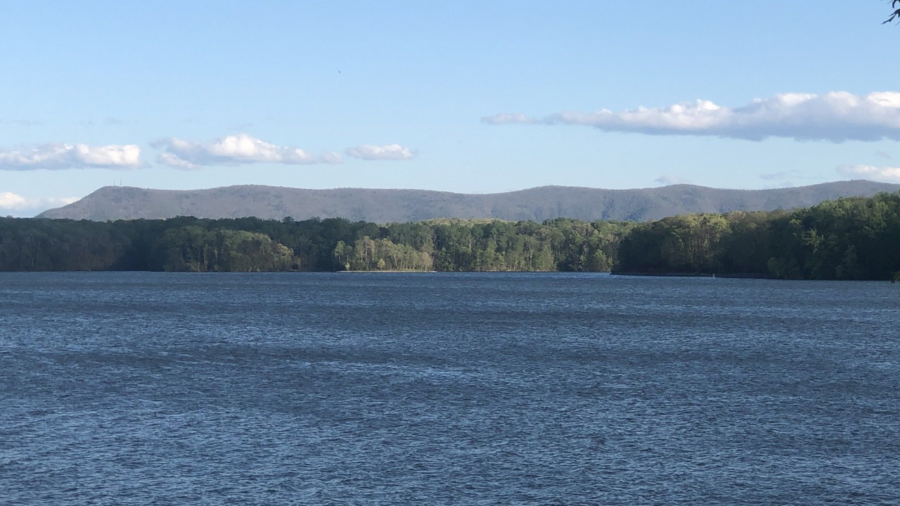 Photo of Others in Moneta