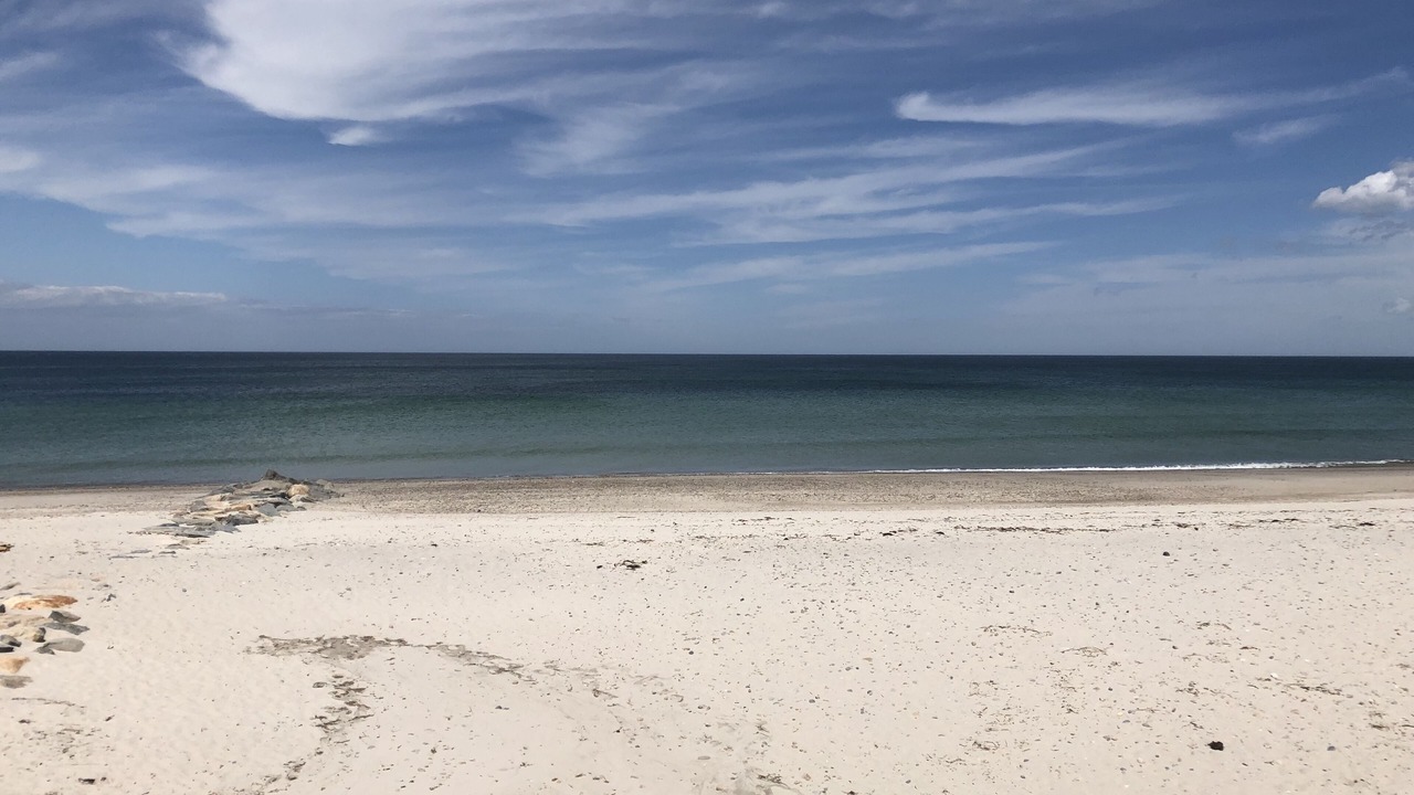 Photo of Others in East Sandwich