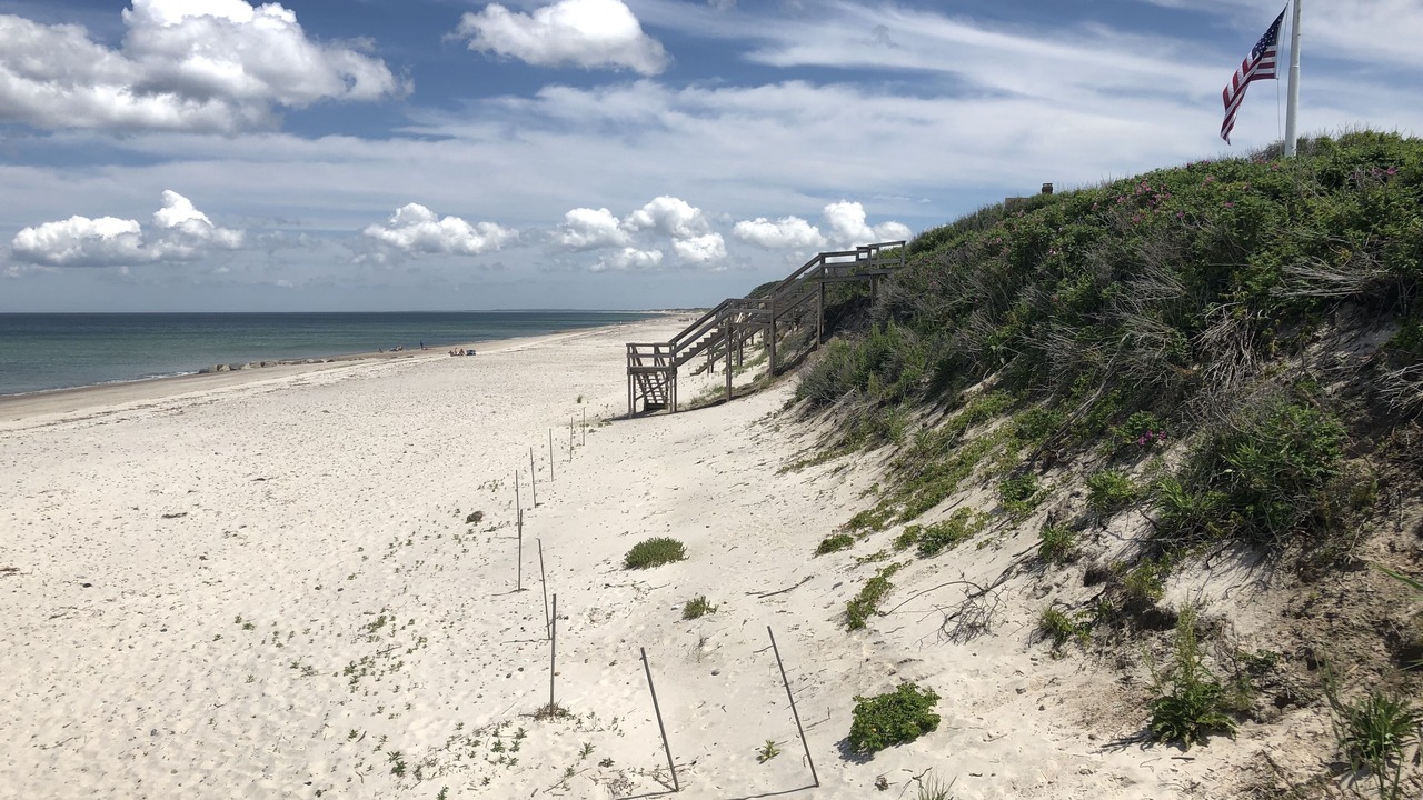 Photo of Others in East Sandwich