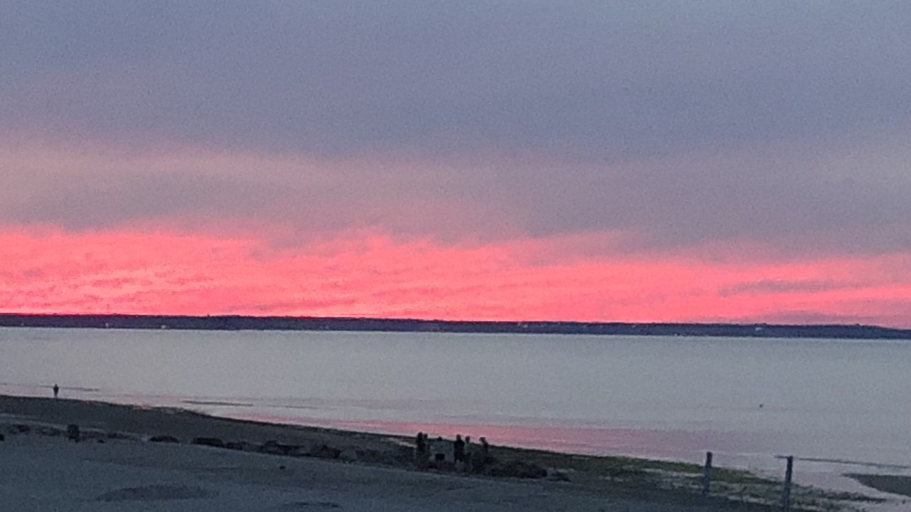 Photo of Others in East Sandwich