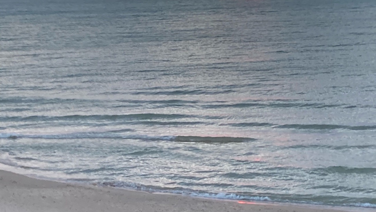 Photo of Others in Saugatuck