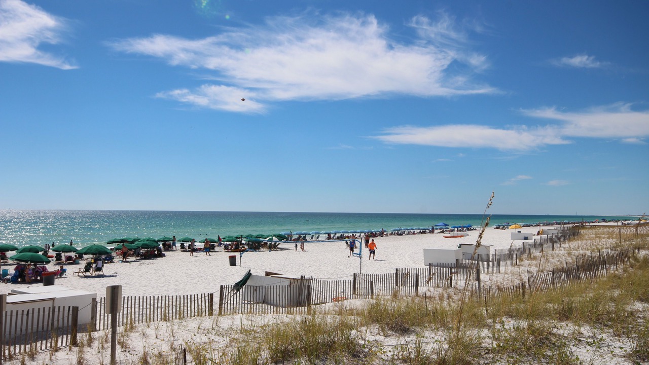 Photo of Others in Fort Walton Beach - Destin