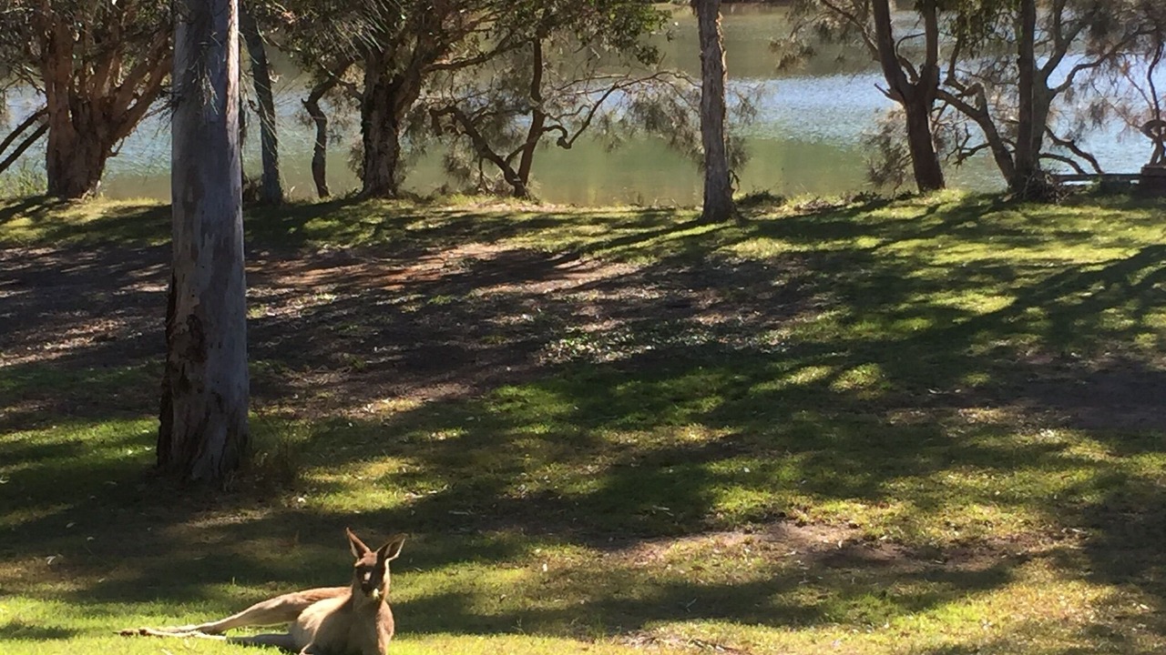 Photo of Outdoor in Woolgoolga