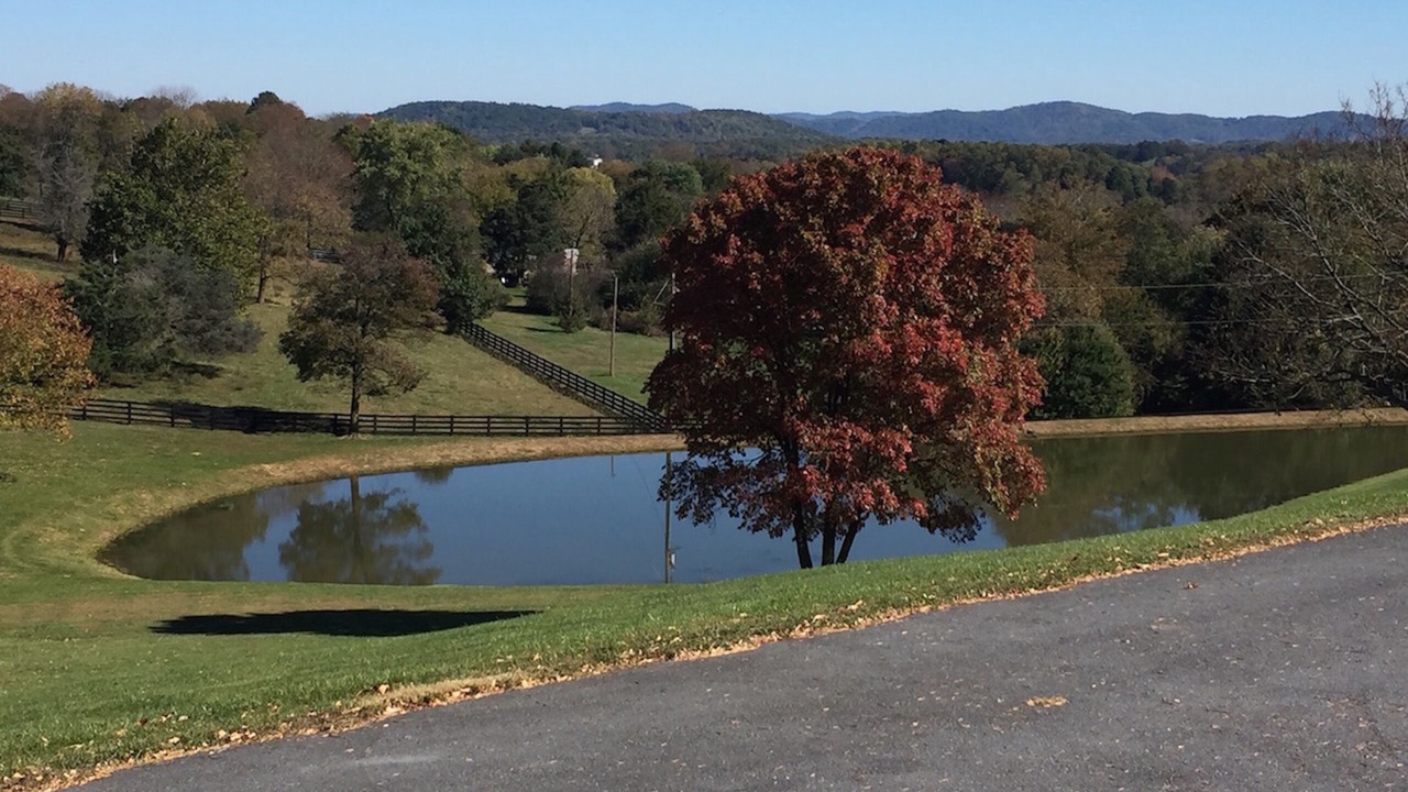 Photo of Outdoor in Greenwood