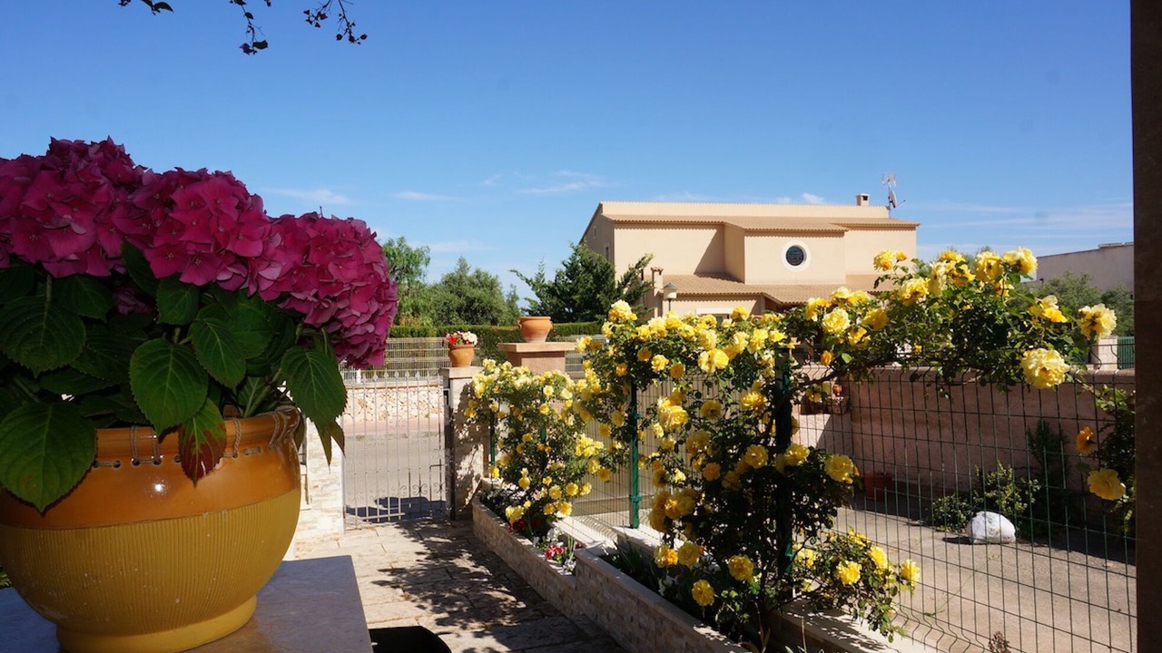 Photo of Outdoor in Portocolom