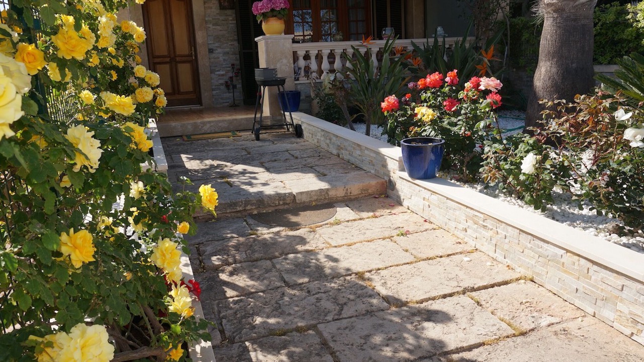 Photo of Outdoor in Portocolom