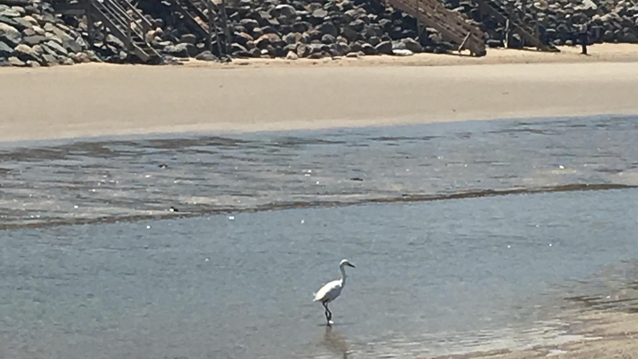 Photo of Others in Campground Landing