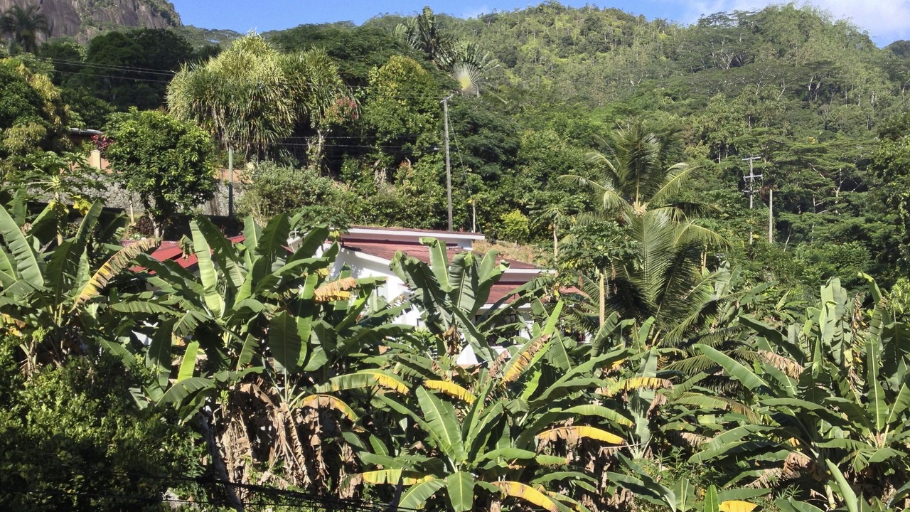 Photo of Outdoor in Mahe Island