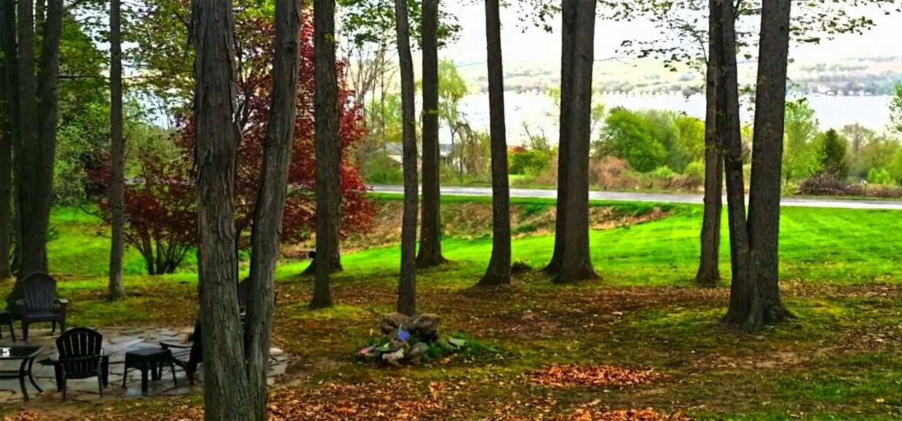 Photo of Others in Canandaigua