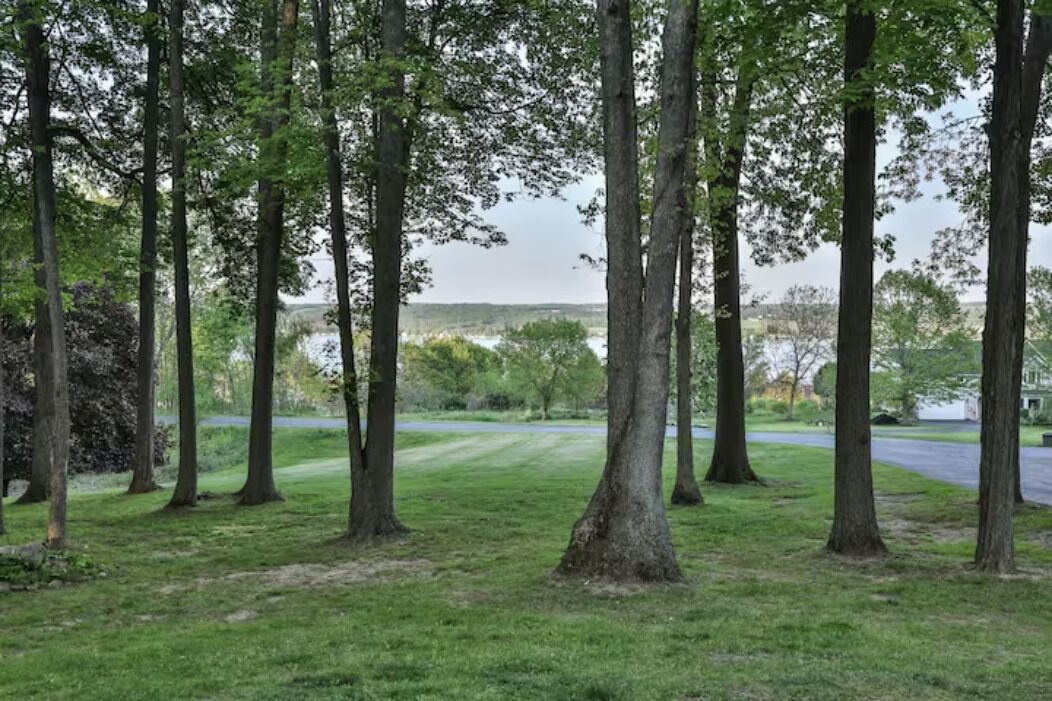 Photo of Others in Canandaigua