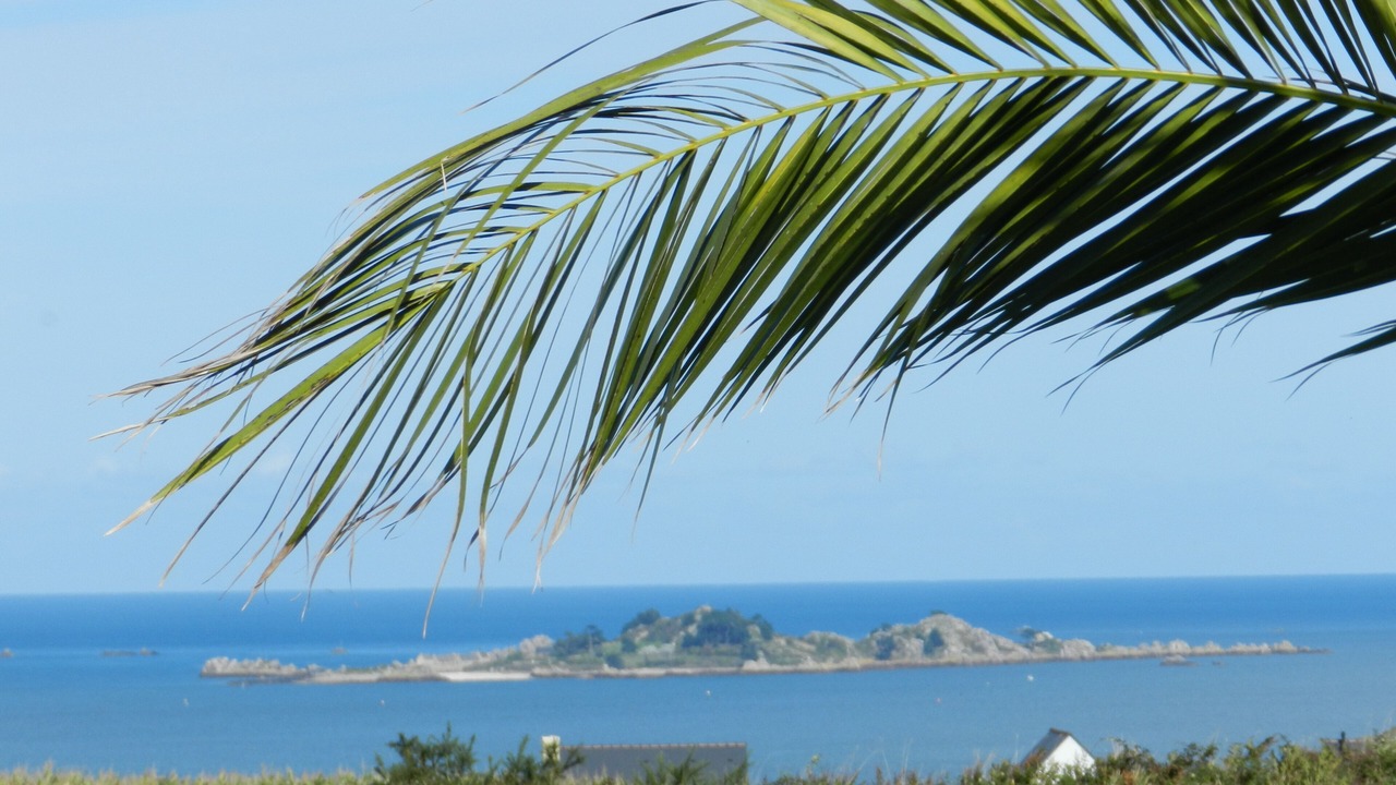 Photo of Others in Paimpol