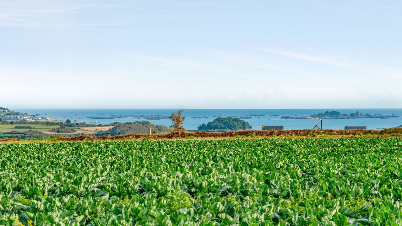 Photo of Others in Paimpol