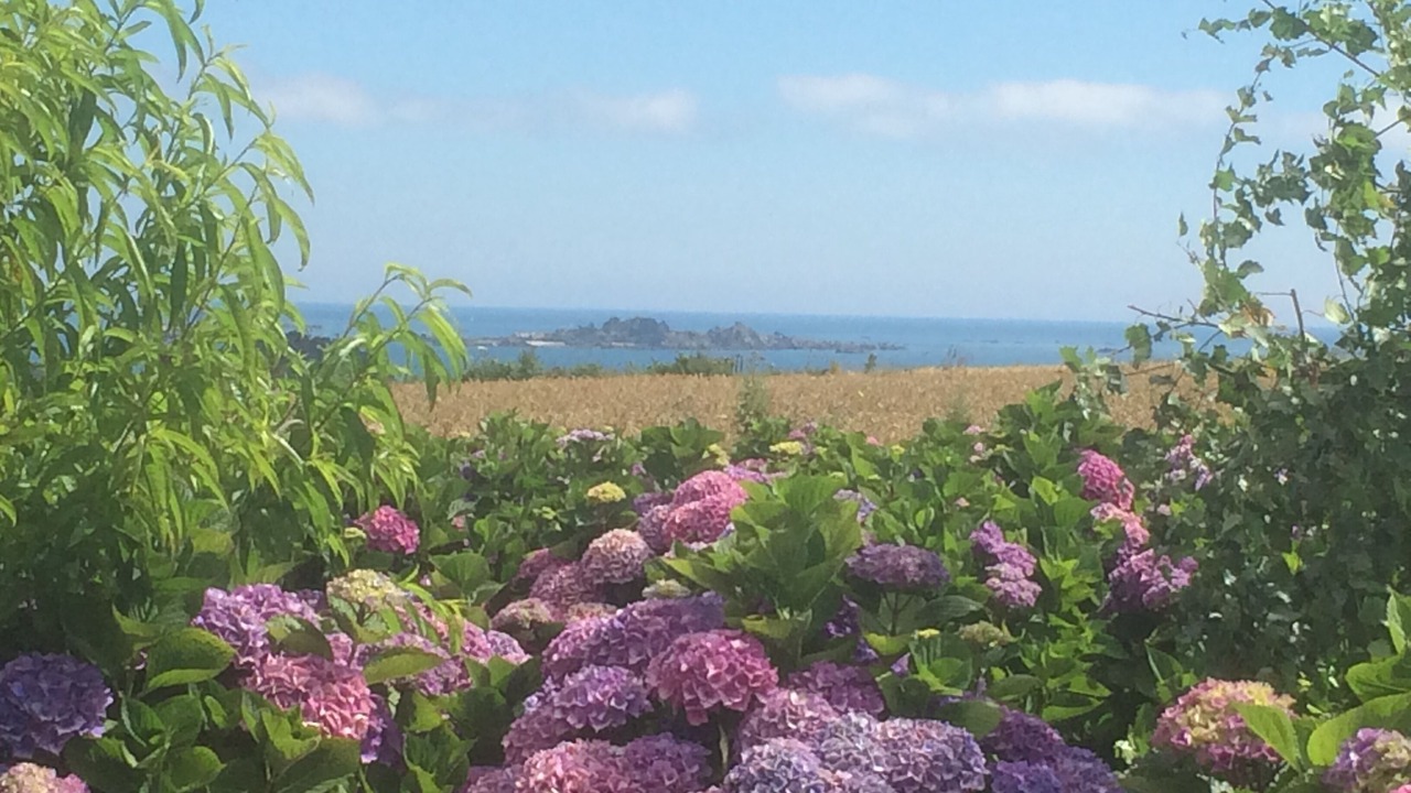 Photo of Outdoor in Paimpol