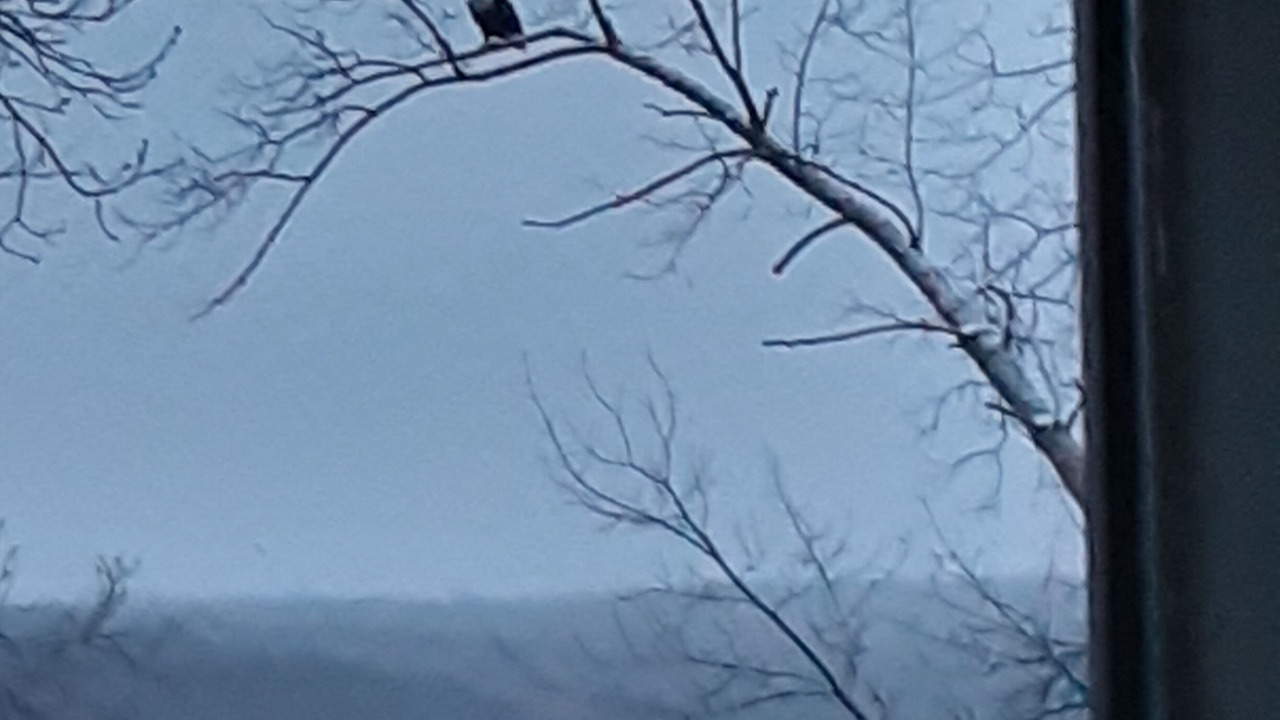 Photo of Others in Honeoye