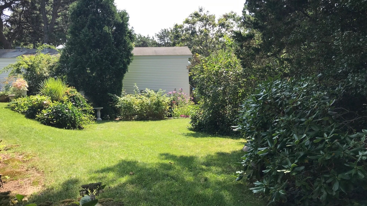 Photo of Outdoor in Wellfleet
