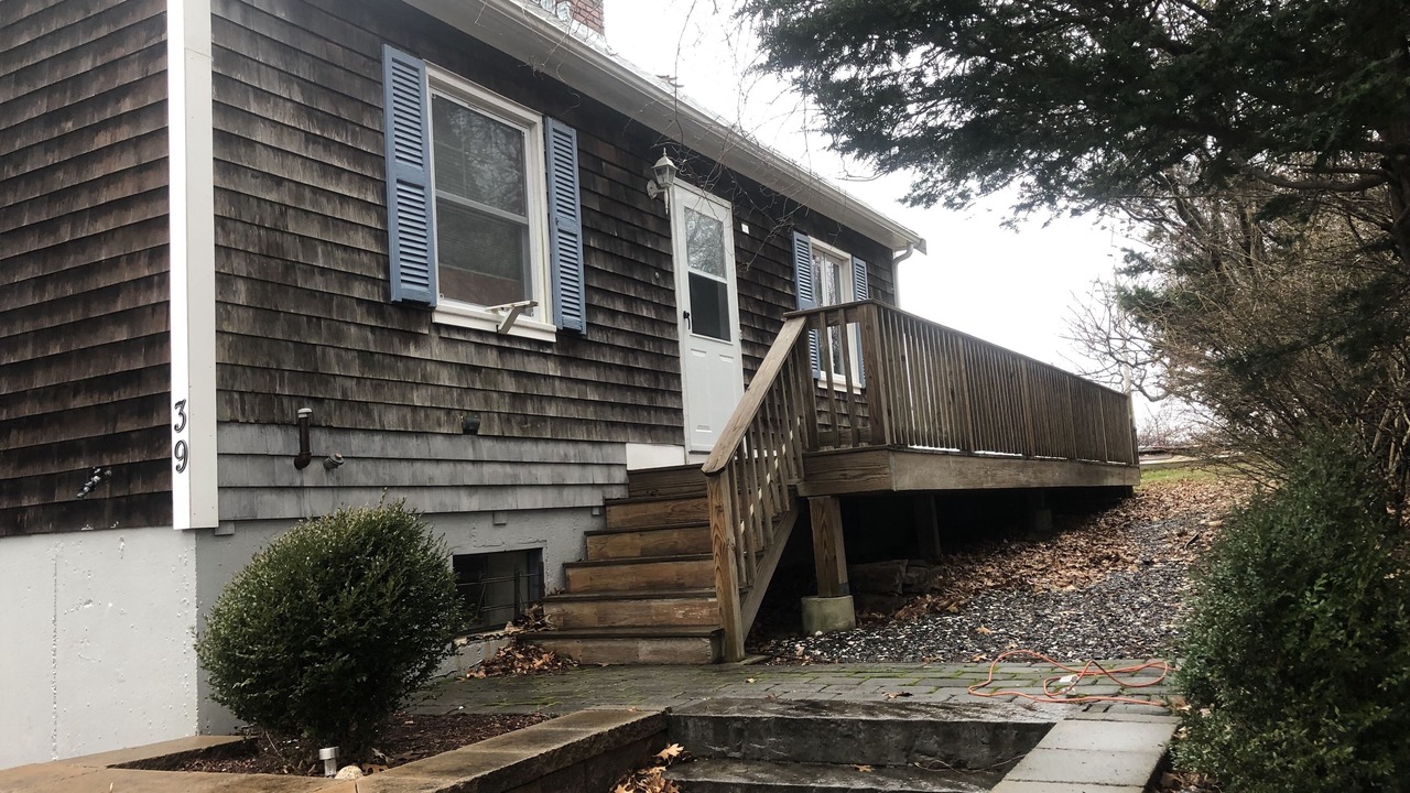 Photo of Outdoor in Cedar Bushes