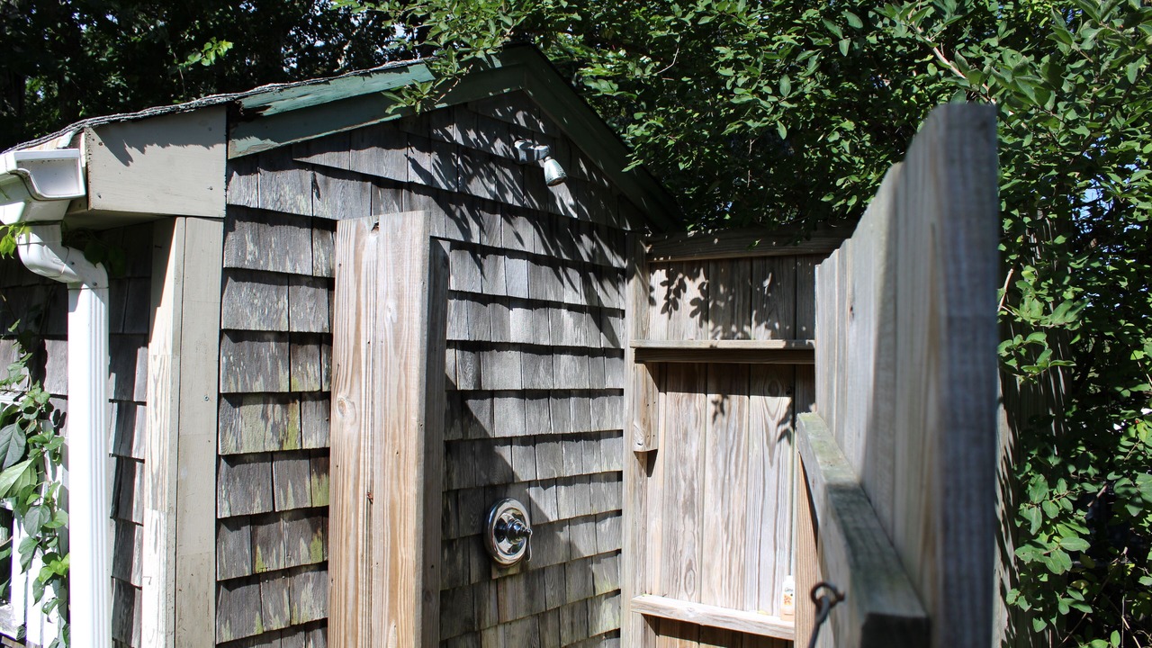 Photo of Outdoor in Cedar Bushes