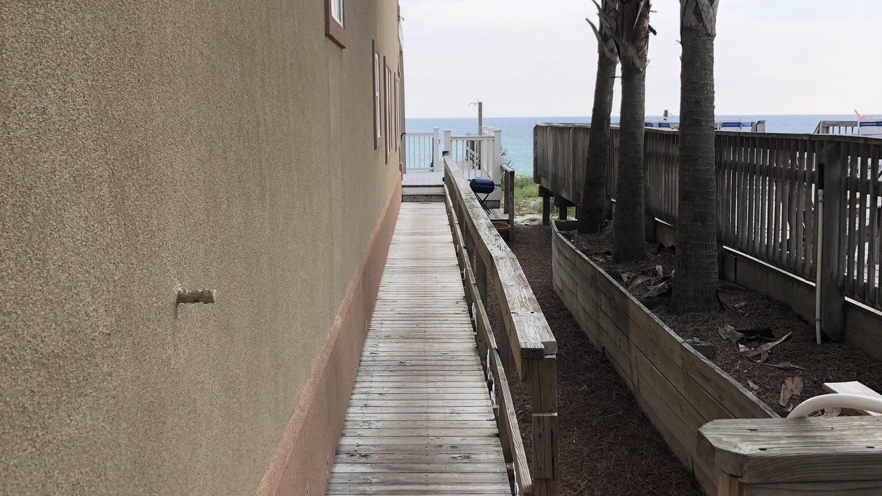 Photo of Others in Fort Bay