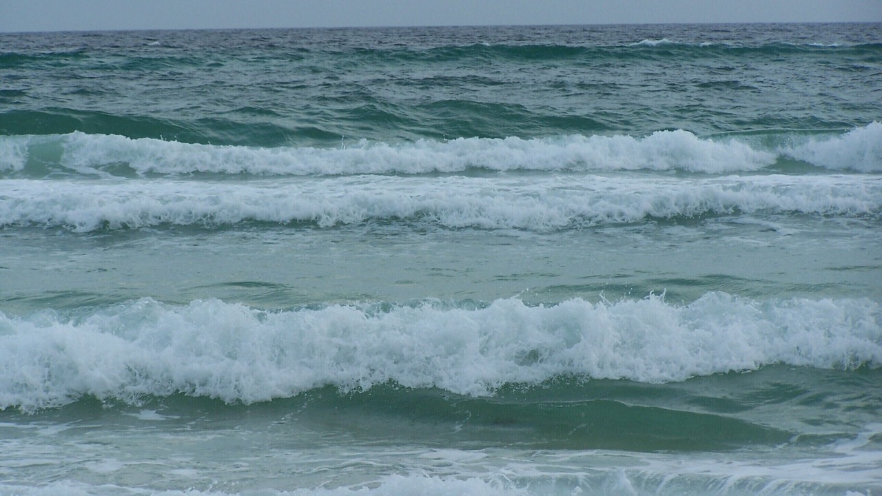 Photo of Others in Panama City Beach