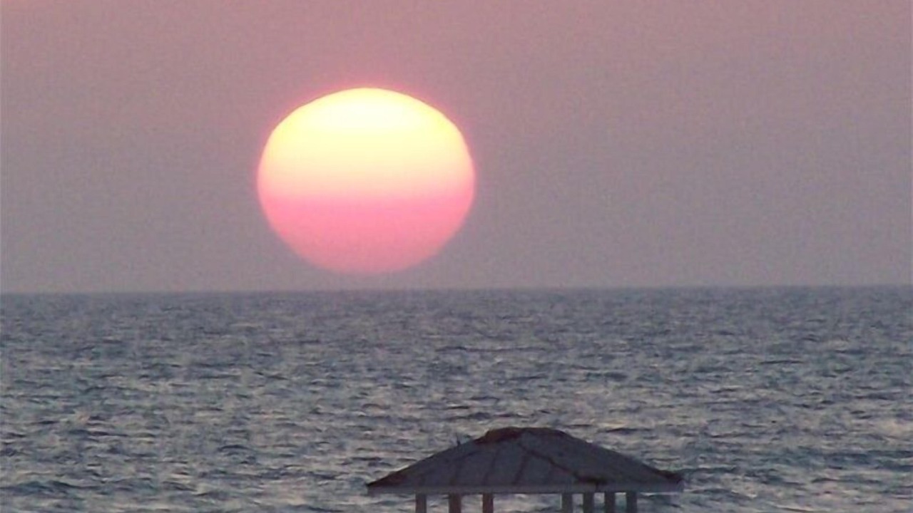 Photo of Others in Panama City Beach