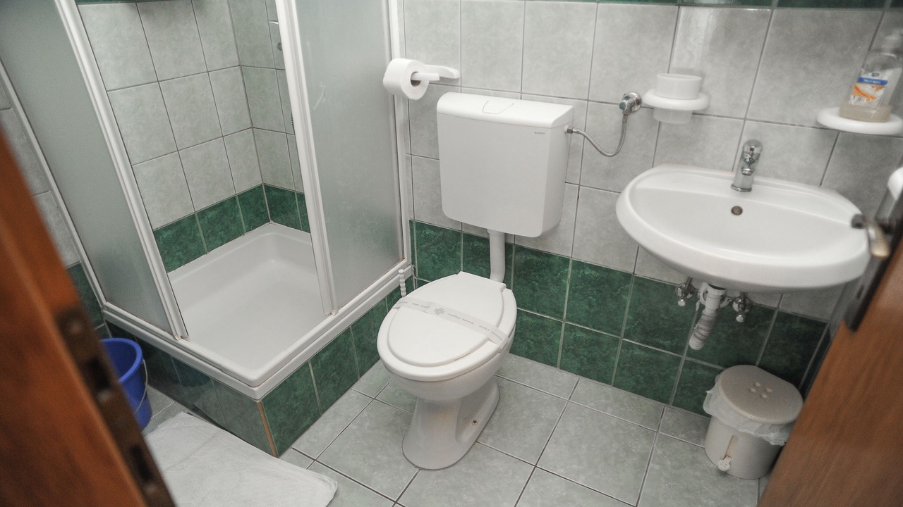 Photo of Bathroom in Caska