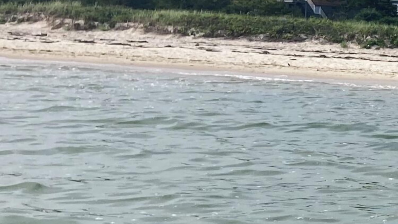 Photo of Others in West Hyannisport