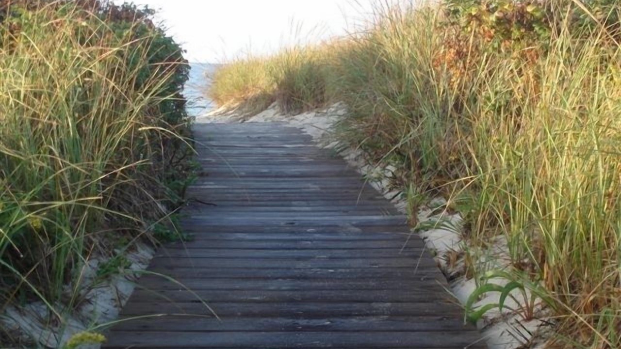 Photo of Others in West Hyannisport