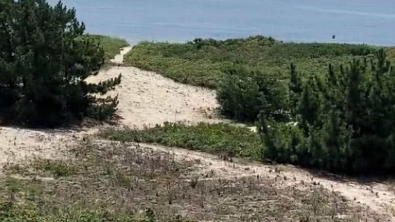 Photo of Others in West Hyannisport