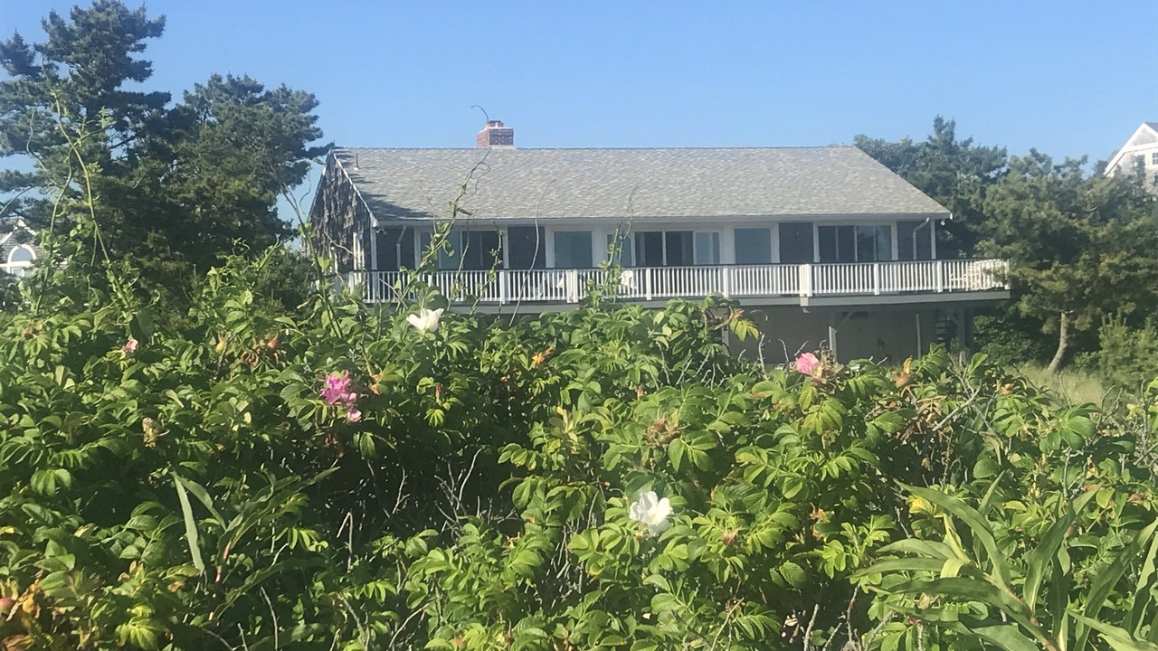 Photo of Others in West Hyannisport