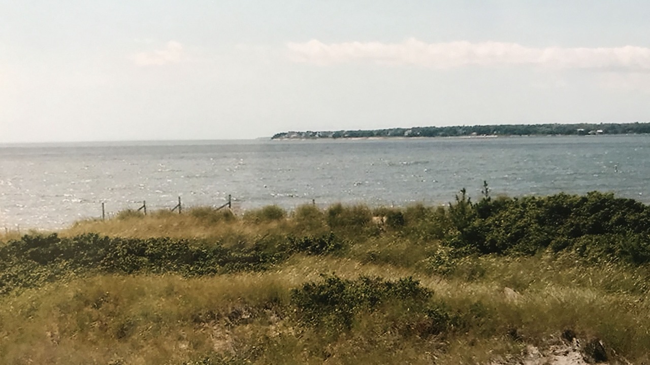 Photo of Others in West Hyannisport