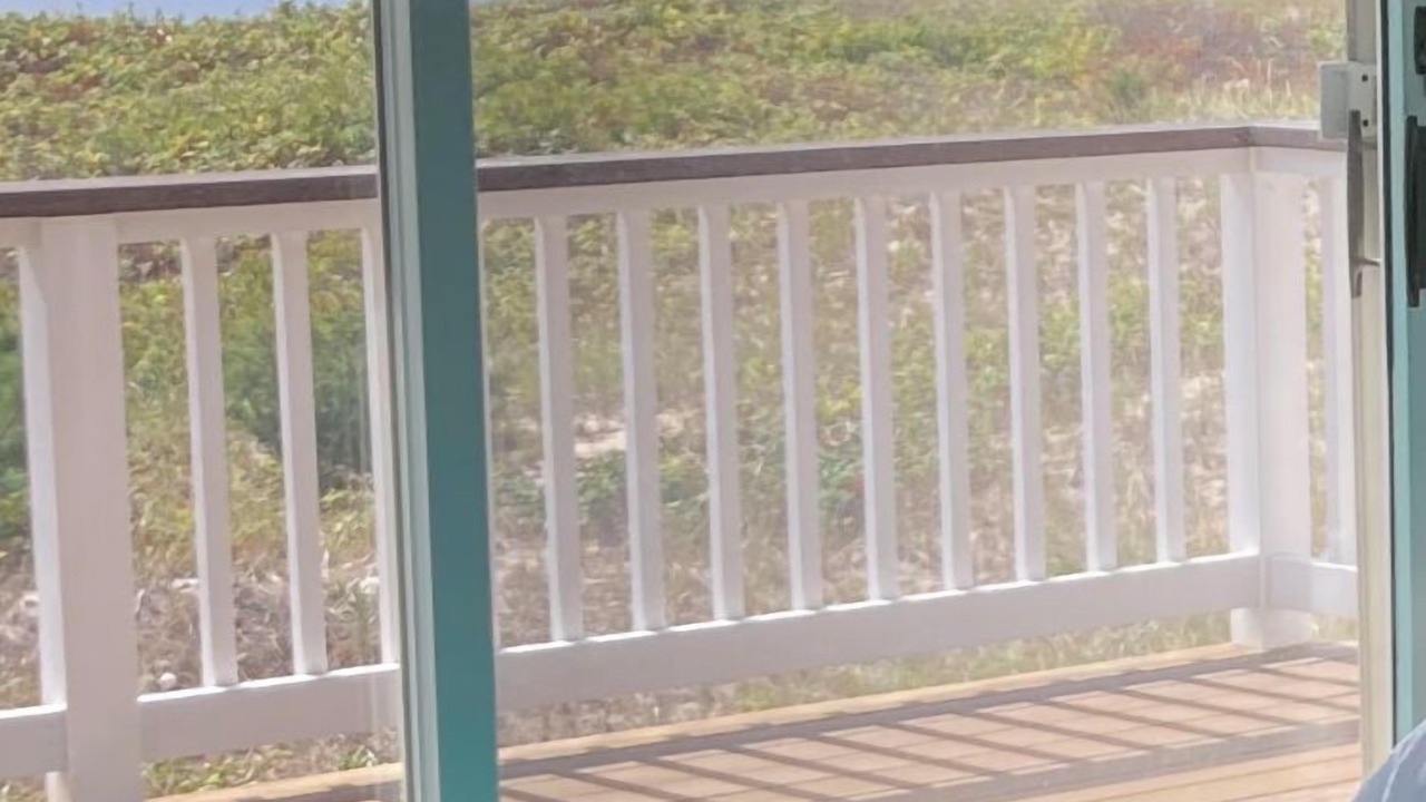 Photo of Others in West Hyannisport