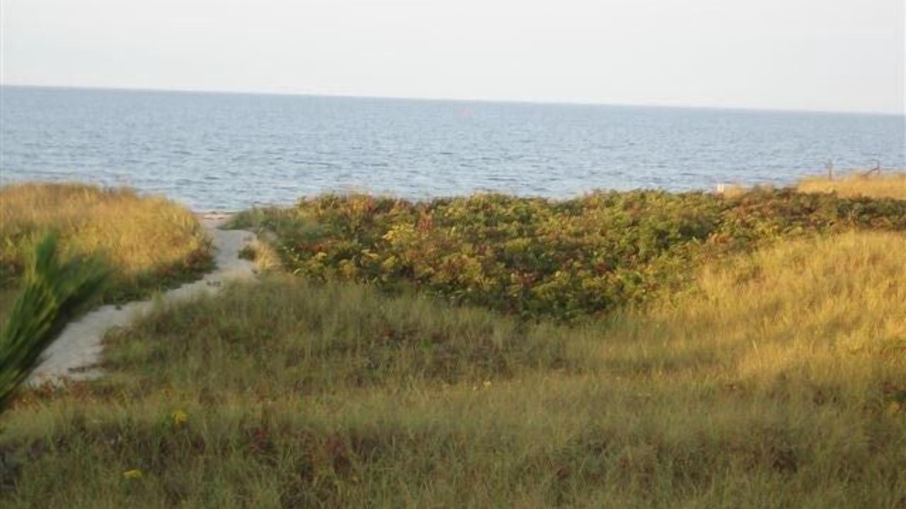 Photo of Others in West Hyannisport