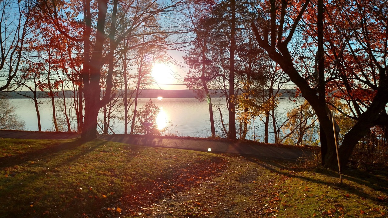 Photo of Outdoor in Lodi