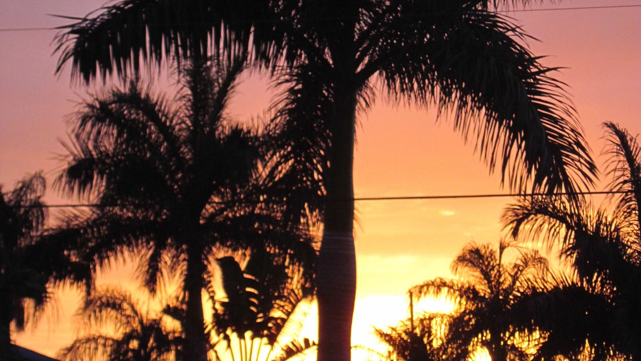 Photo of Outdoor in Pelican